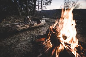 This image portrays sethdortch_20171111_0198 by Seth Dortch.