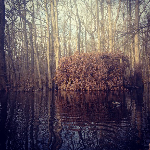 This image portrays Davy Crockett Hunting Club Rite of Passage by Seth Dortch.